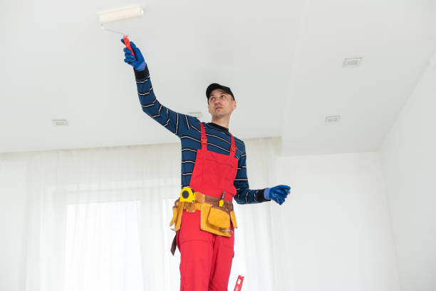 Best Residential Mold Inspection & Testing  in Wood Dale, IL
