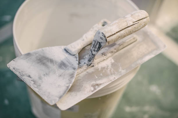 Best Black Mold Removal  in Wood Dale, IL